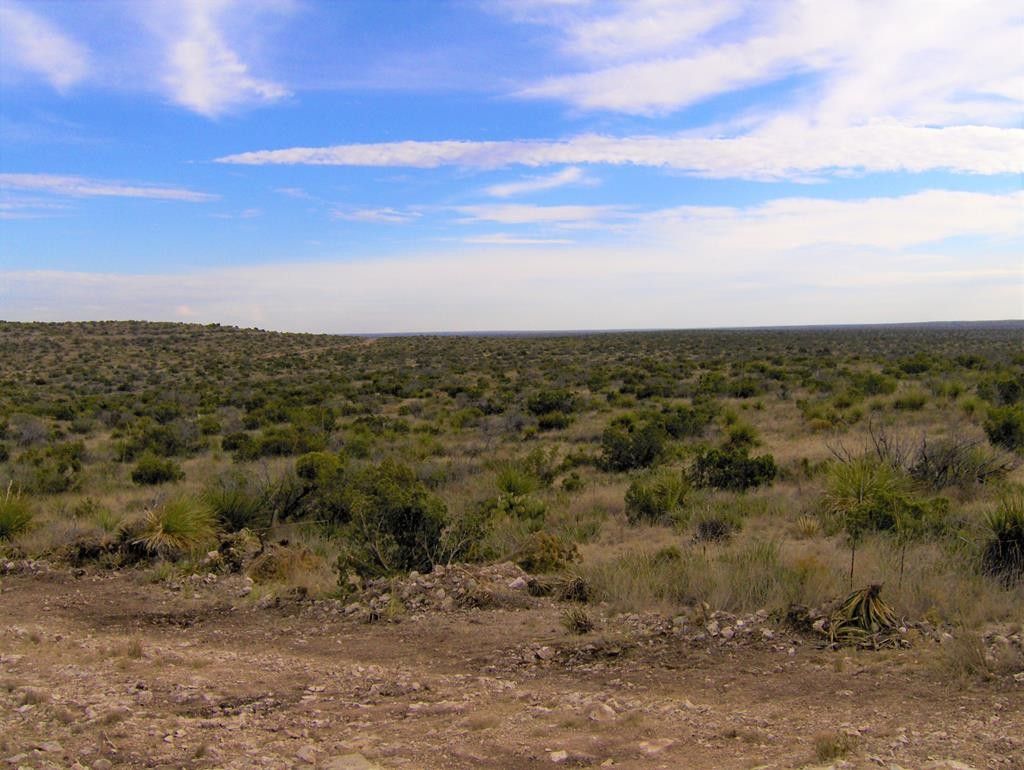 Sanderson, Terrell County, TX Undeveloped Land for sale Property ID