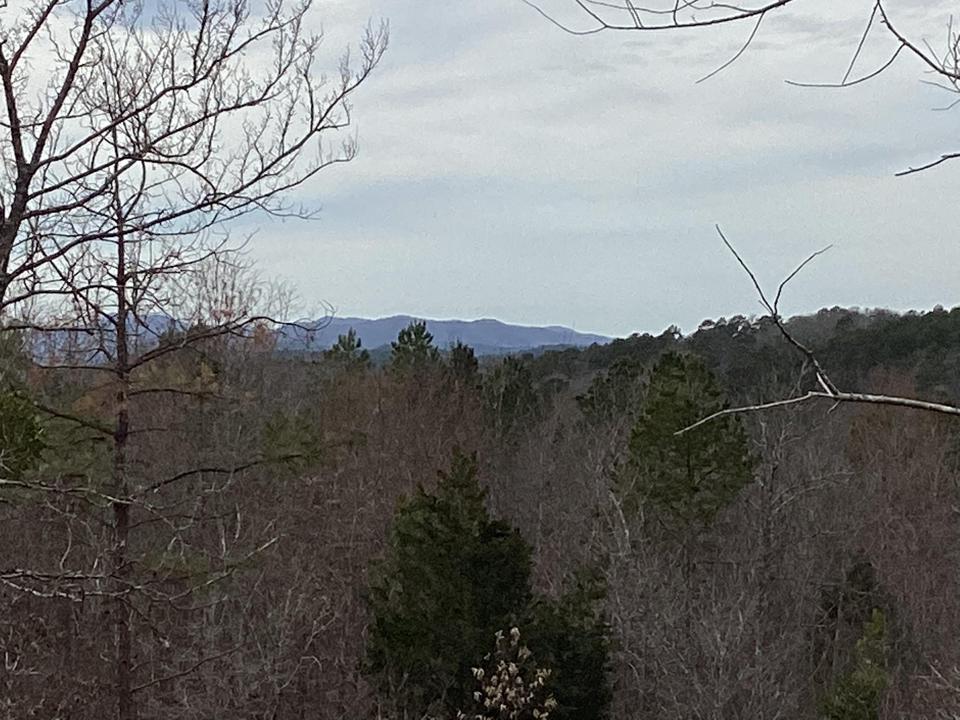 Norman, Montgomery County, AR Recreational Property, Hunting Property