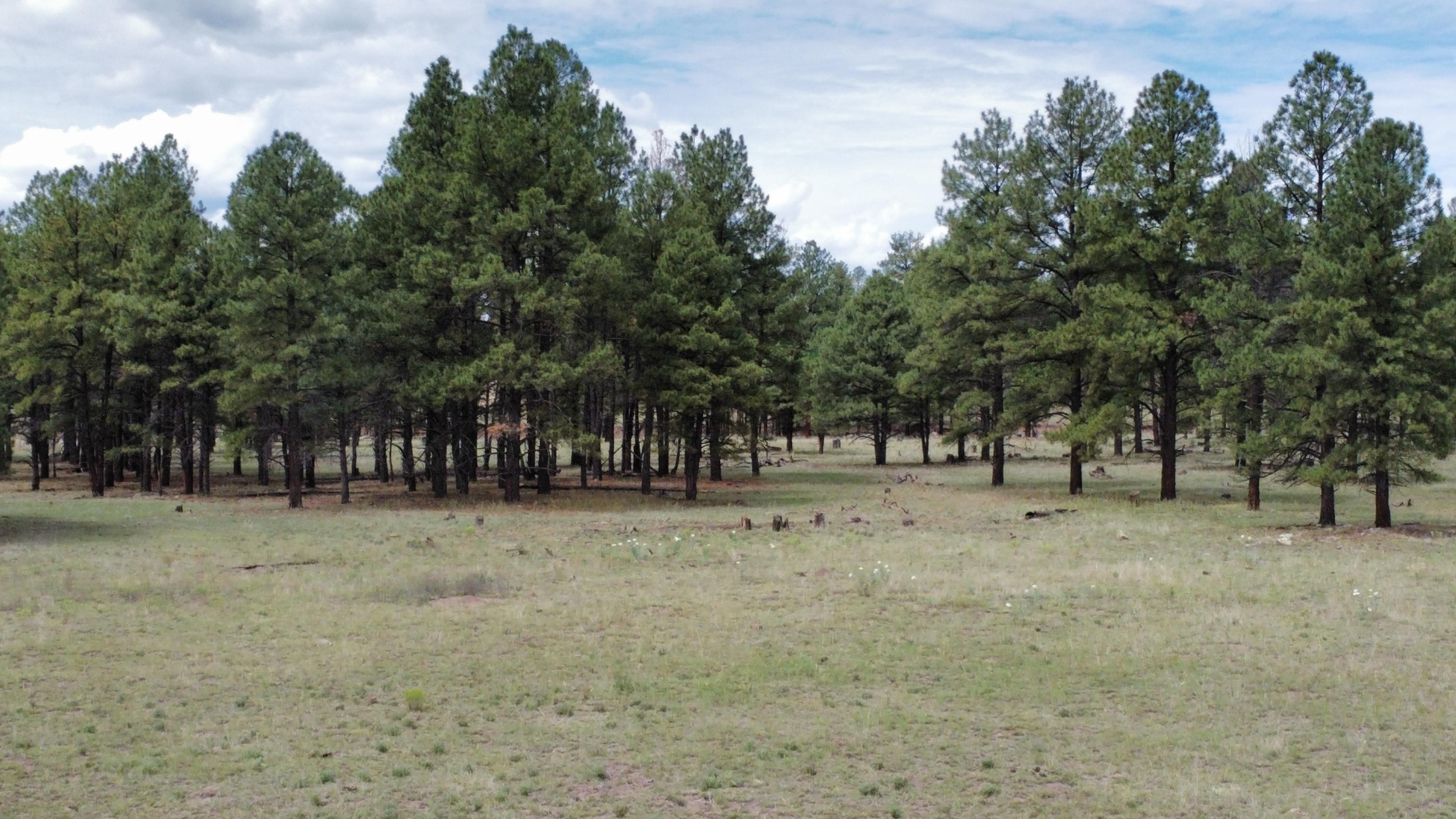 Laney, Luna, NM 87824 MLS 39930 LandWatch