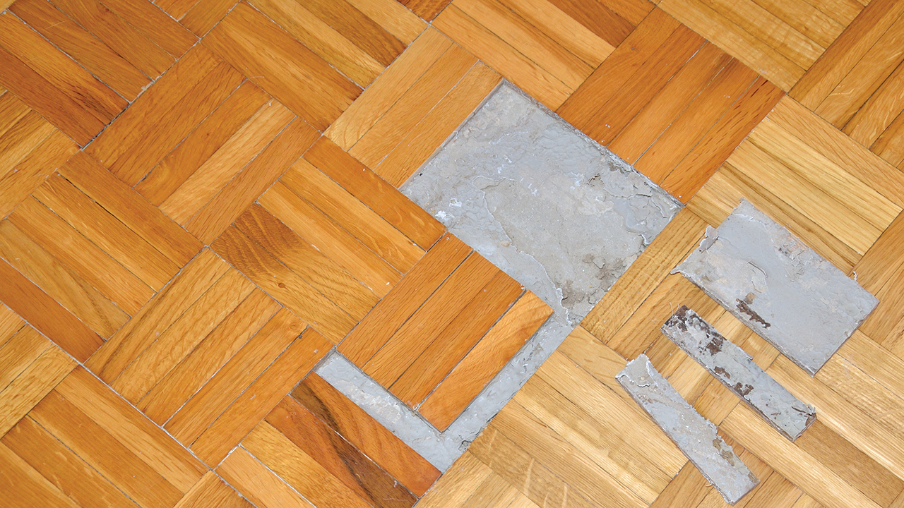 Wood Floors In Florida Humidity Floor Roma