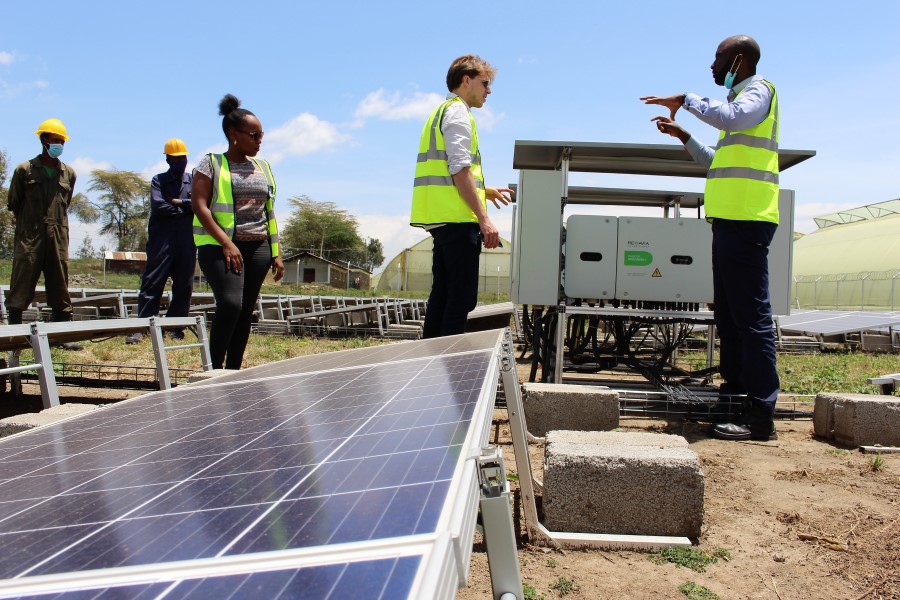 5 benefits of solar energy for a Kenyan flower farm