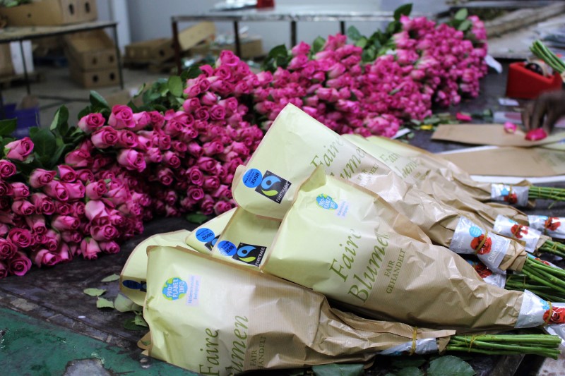 Flower Farm Companies In Kenya Best Flower Site