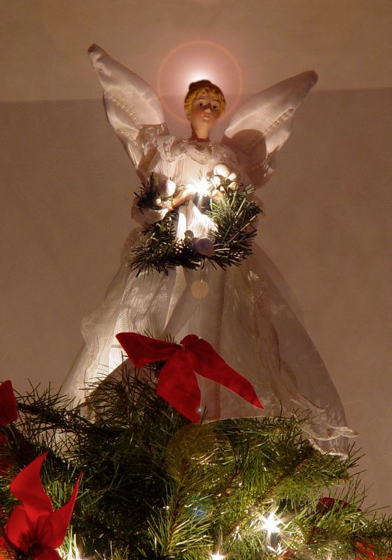 Michigan Maddog's Meandering thoughts