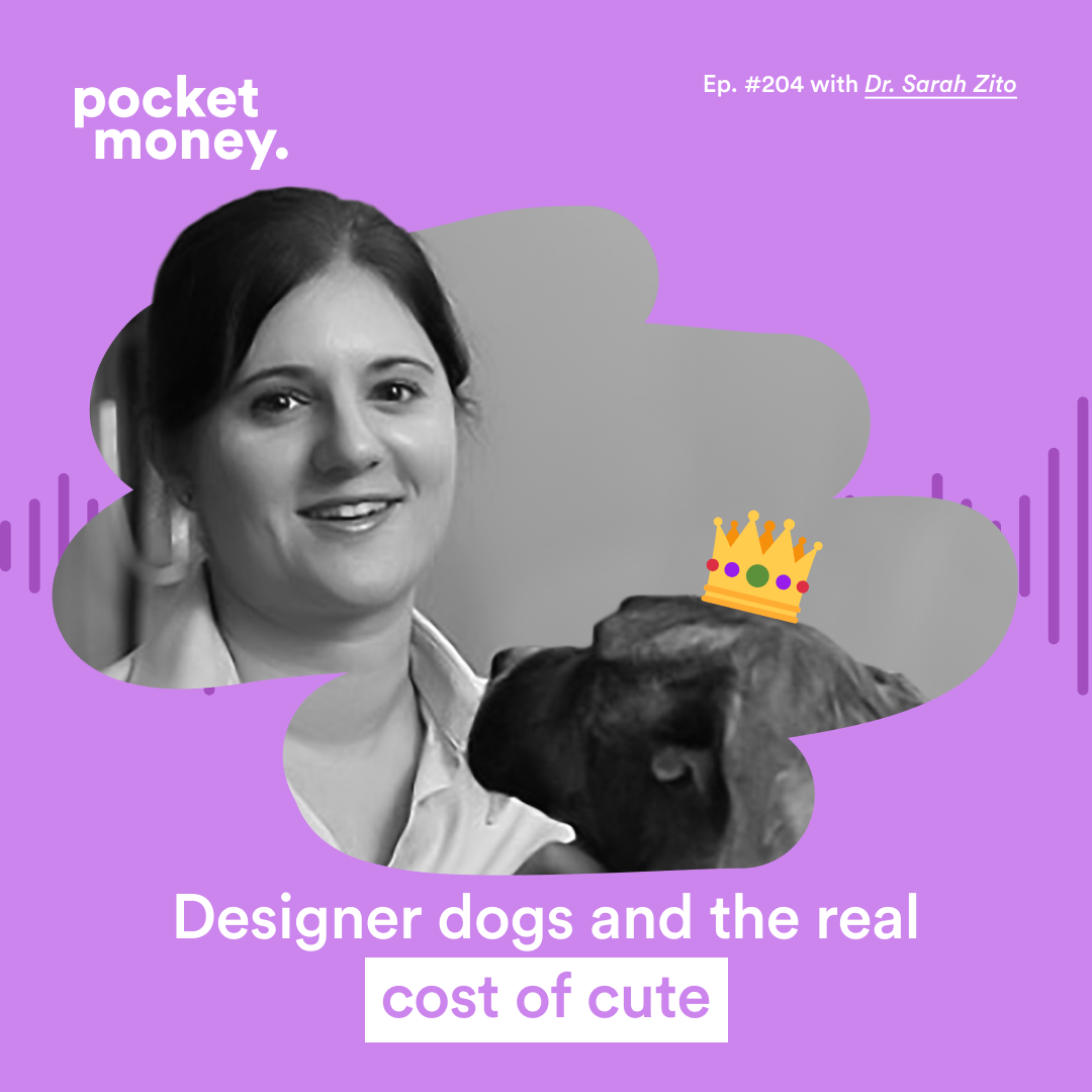 How Much Do Designer Dogs Cost