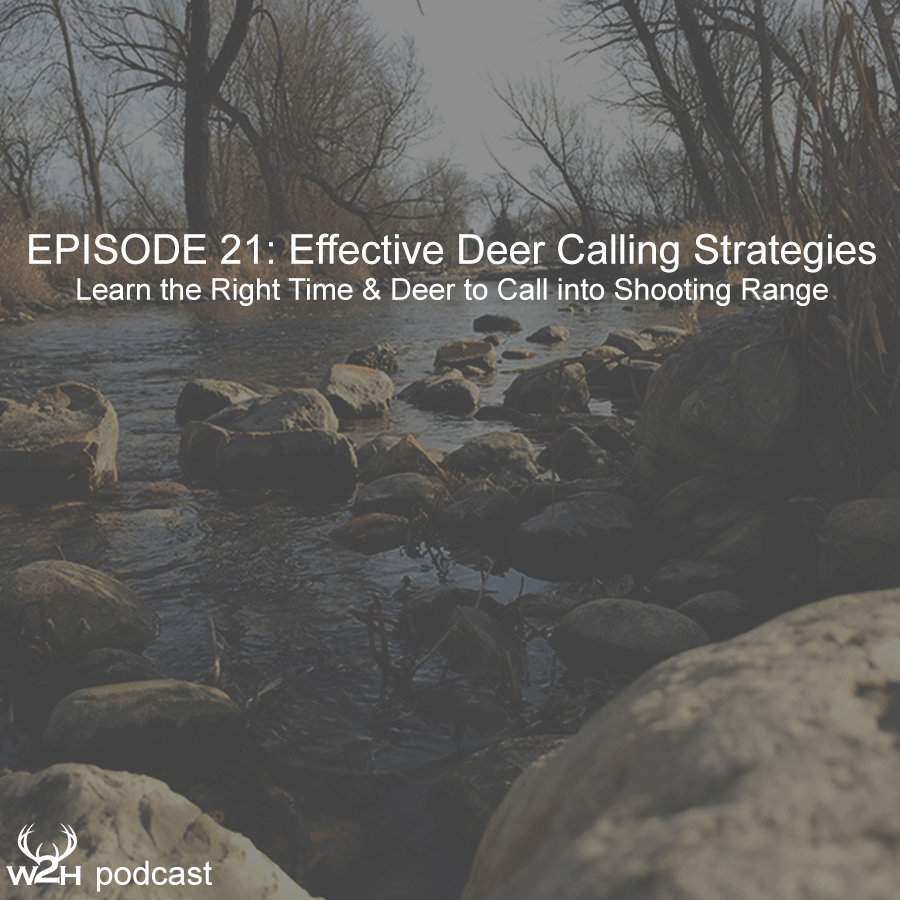 Outdoor Podcast Channel Where to Hunt Effective Deer Calling Strategies
