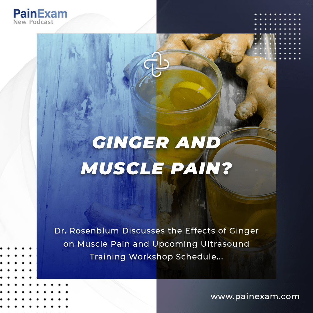 The PainExam podcast Ginger and Muscle Pain?