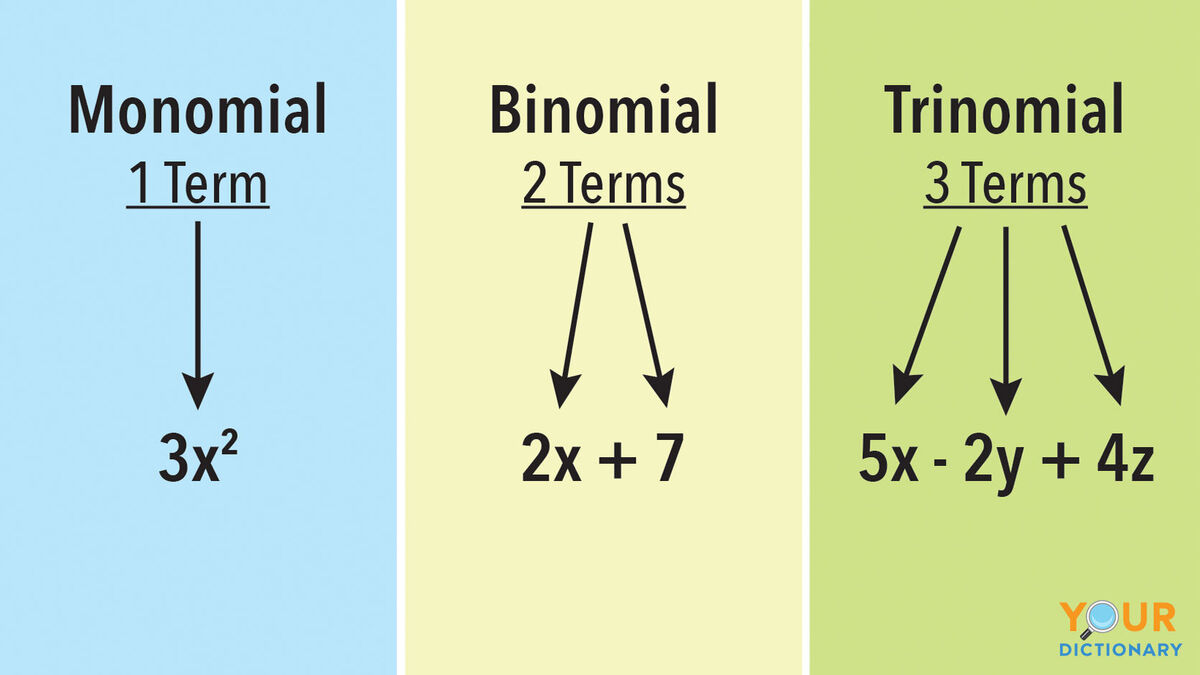 Examples Of Monomials And Polynomials YourDictionary atelieryuwa.ciao.jp