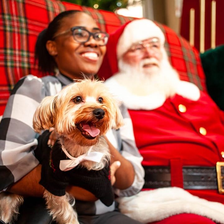 Fashion District Philadelphia Events Pet Night with Santa