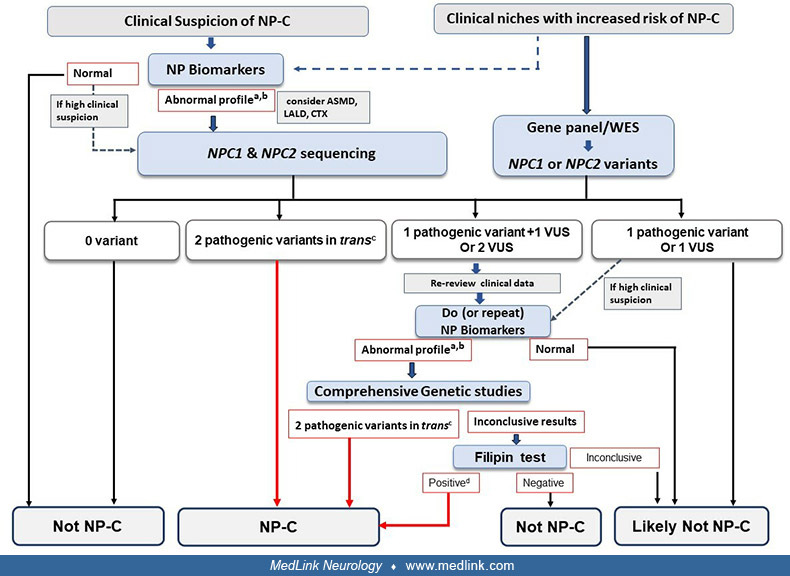 NiemannPick disease type C as a neurovisceral disease. Schematic