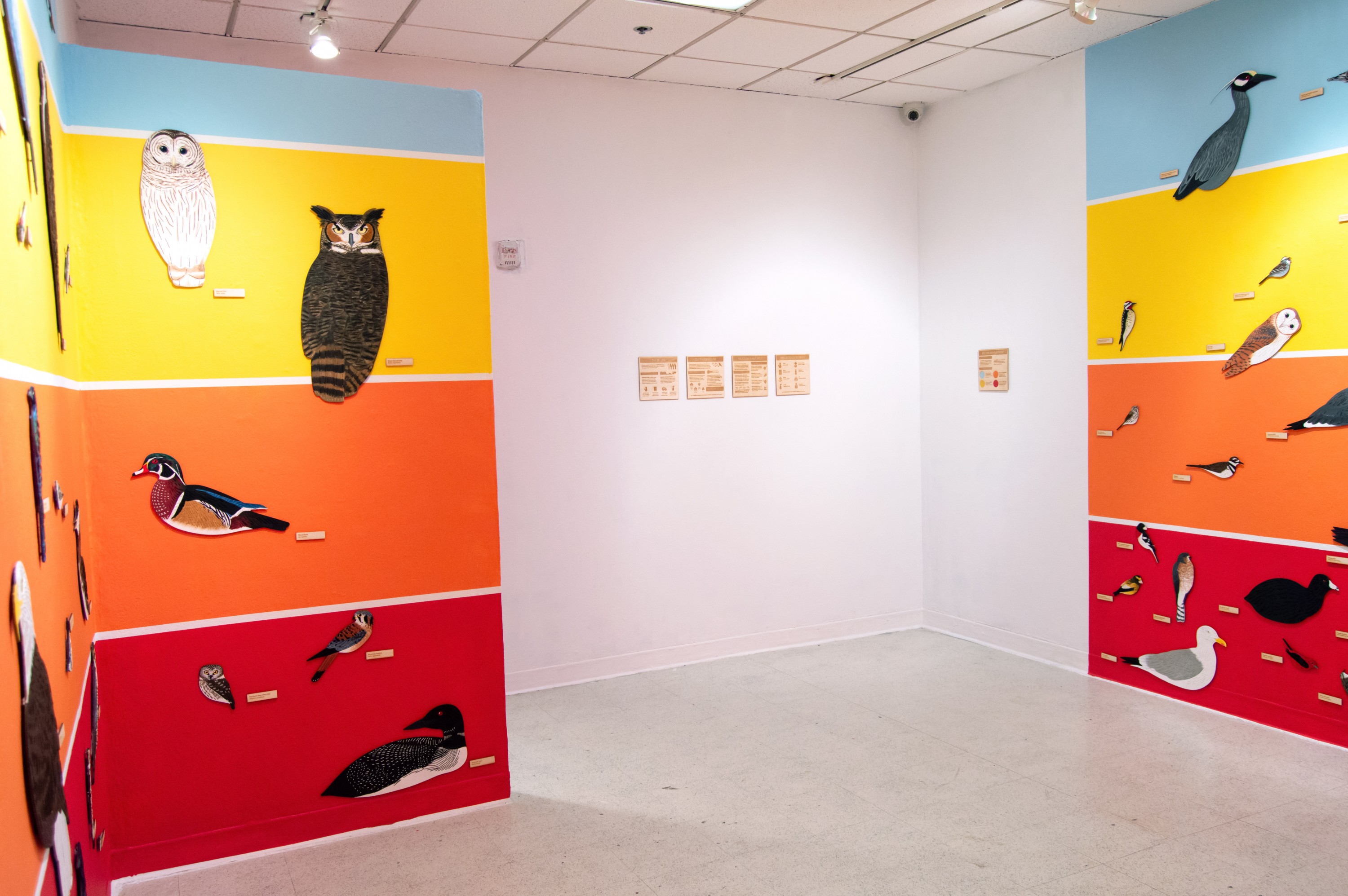 Danielle Kunkel MICA