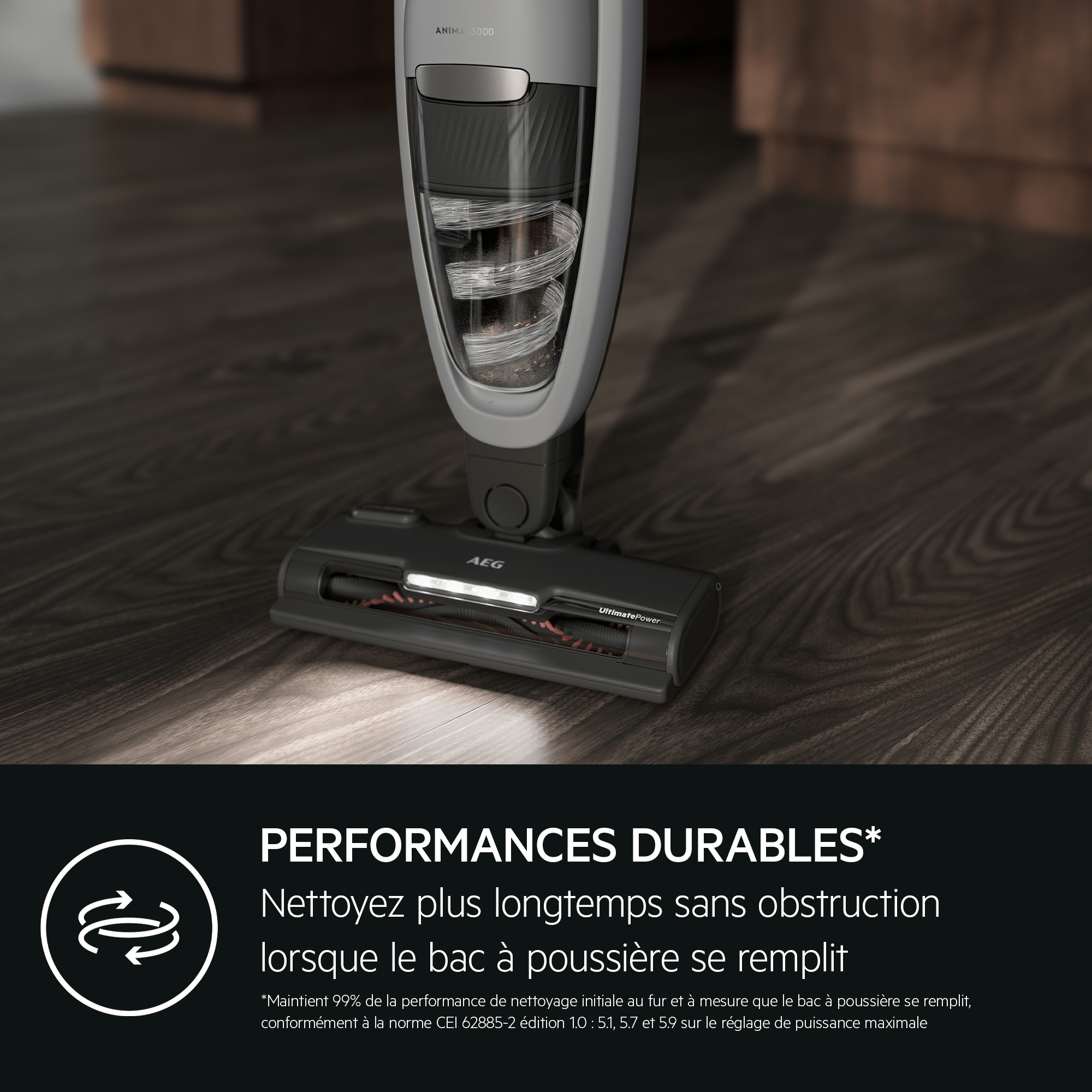 AEG Aspirateur balai Animal 5000 (AS52AB21UG)