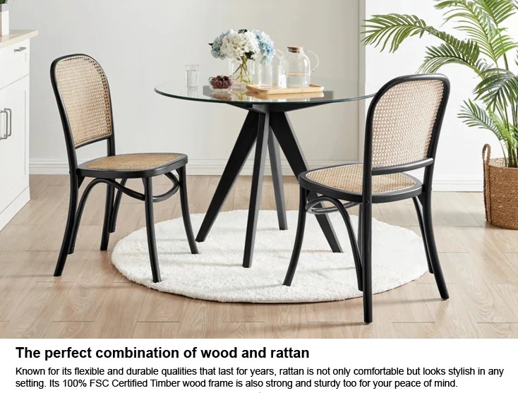 Buy DukeLiving Harlo Beech & Rattan Dining Chairs Black (Set of 2) MyDeal