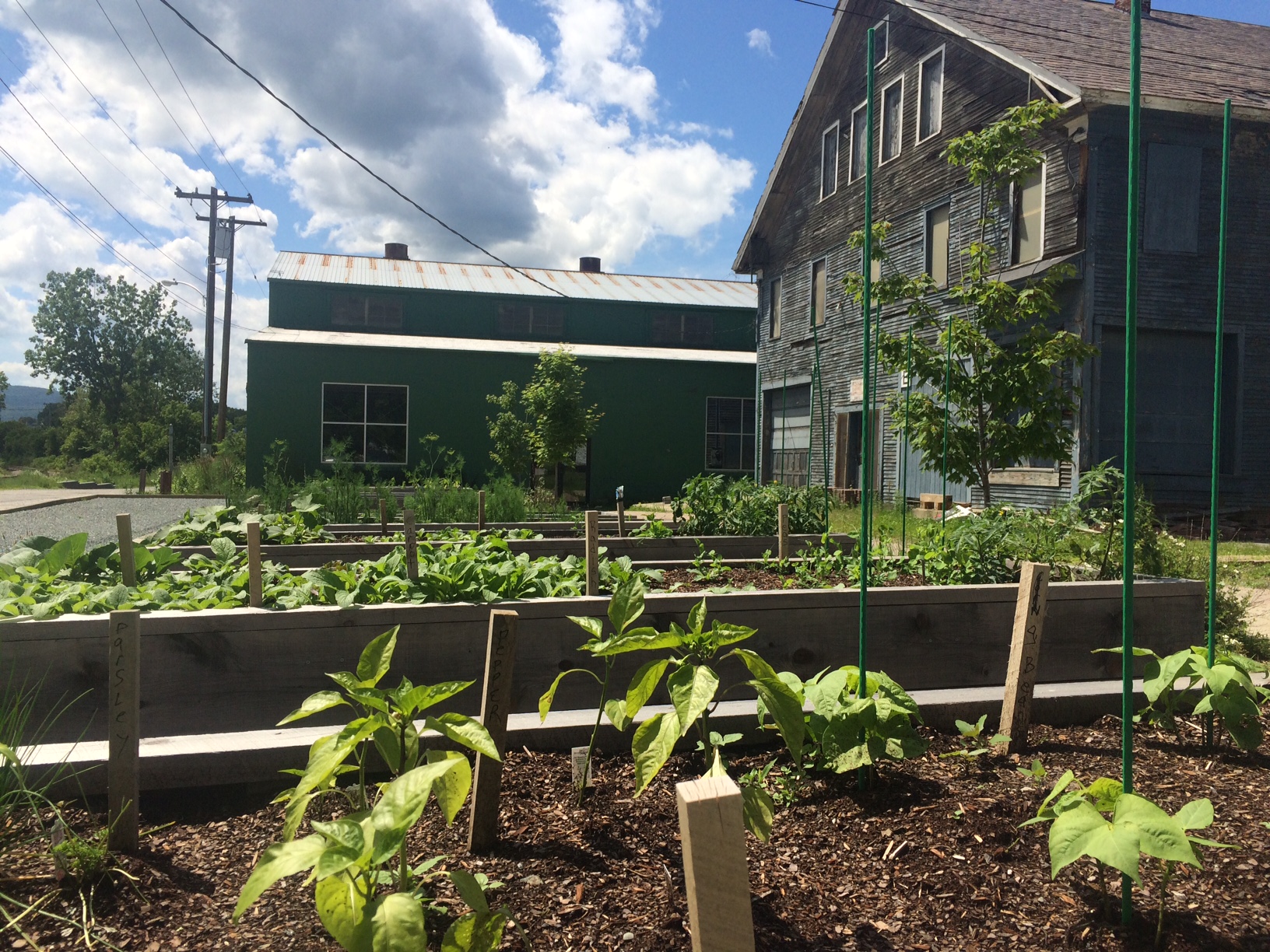 Community Gardens Vermont Farmers Food Center