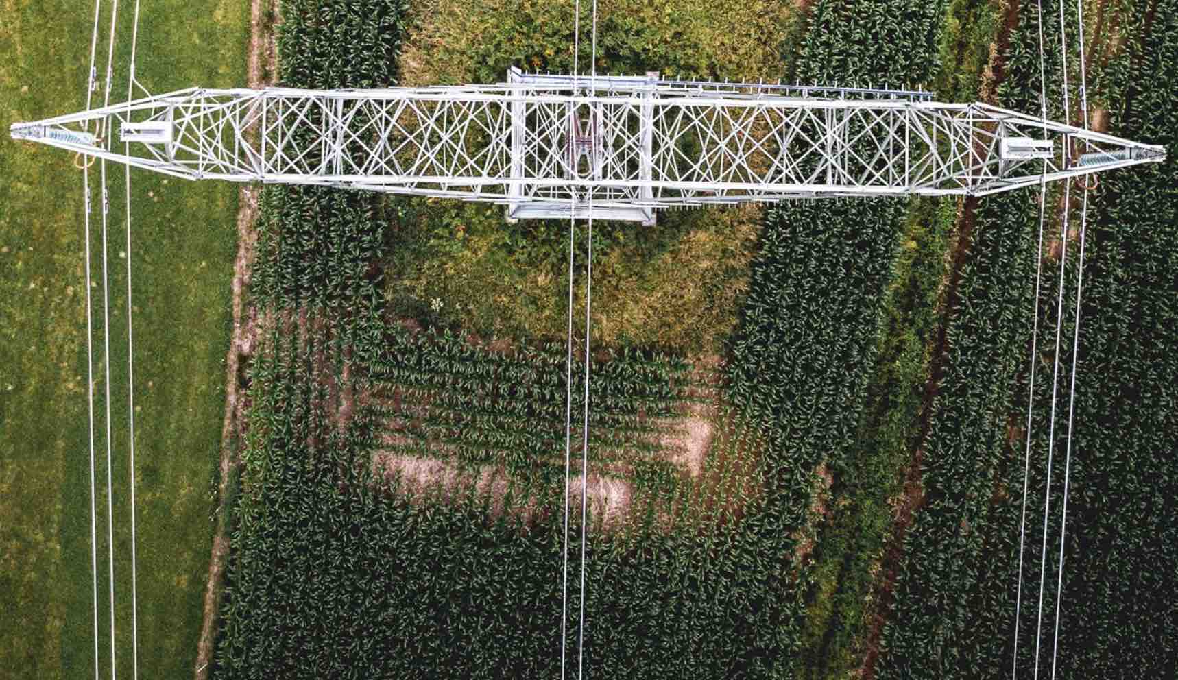 Renewable Energy Transmission REAlliance