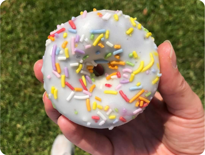 Noshu Product Birthday Cake Donut