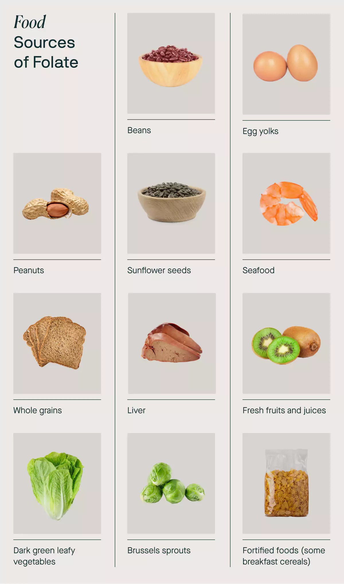 Vitamin B12 and Folate What You Need to Know Nutrisense Journal