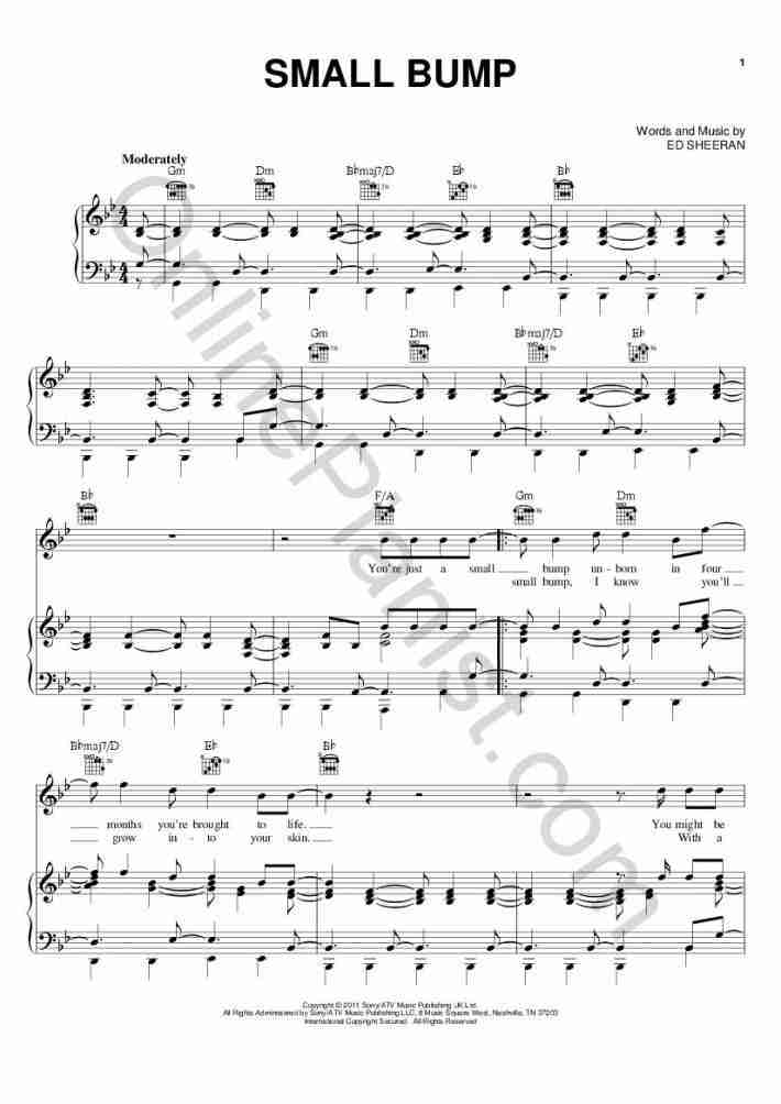 Small Bump Piano Sheet Music OnlinePianist