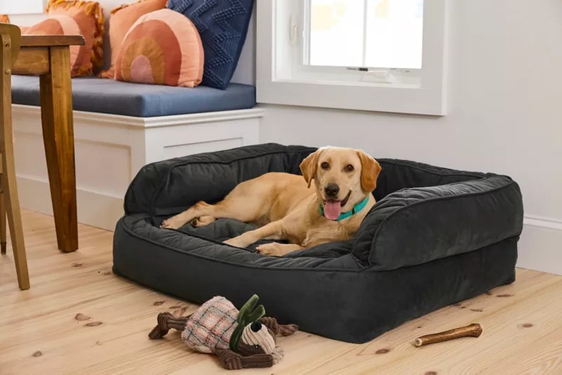Orvis ComfortFillEco™ Couch Dog Bed Orvis