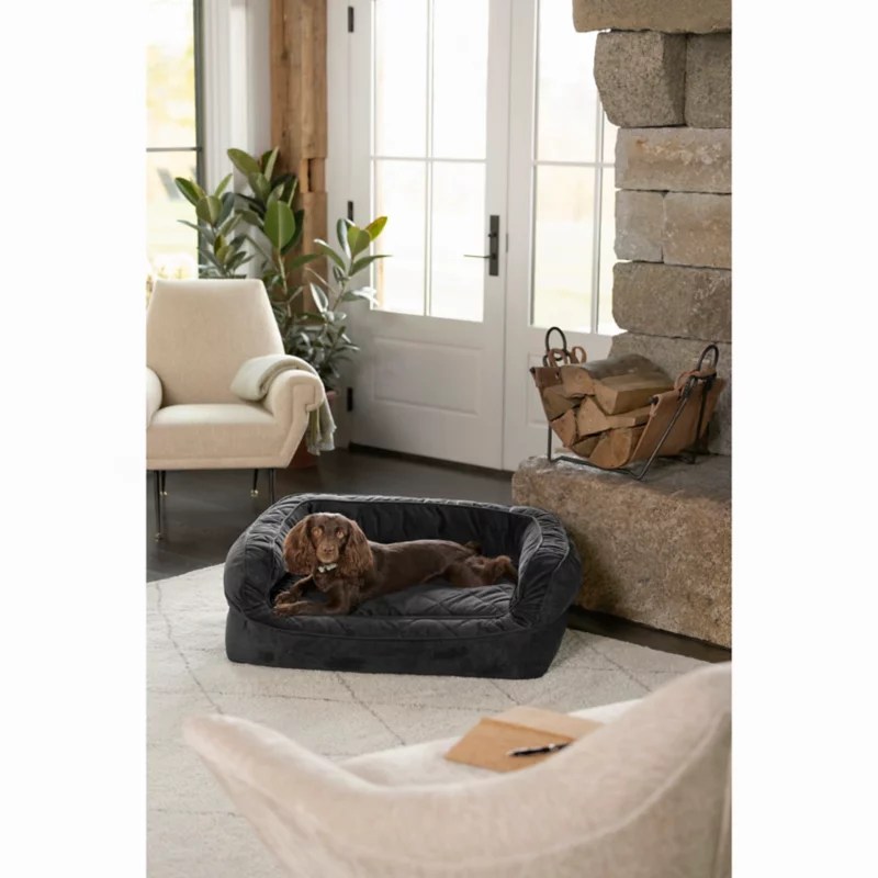Orvis Memory Foam Couch Dog Bed Orvis