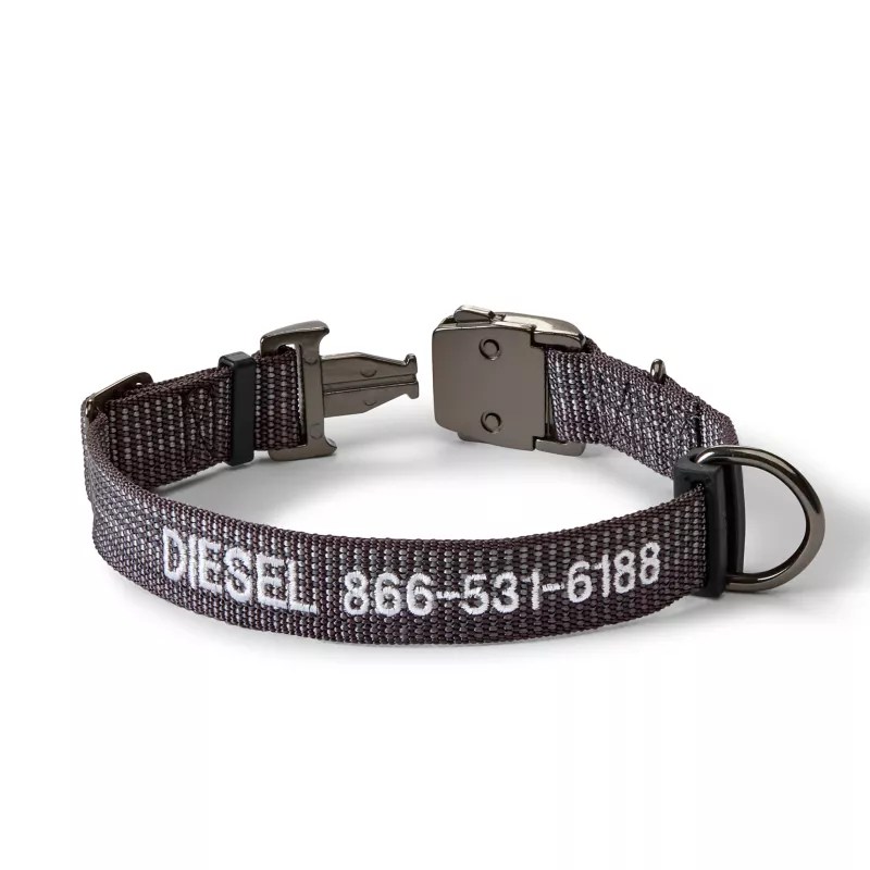 Tough Trail Dog Collar Orvis
