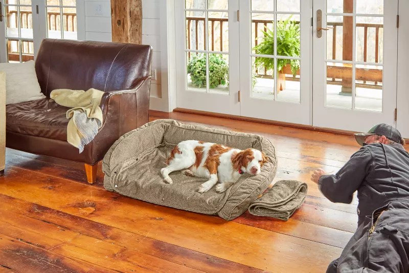 Dog Beds