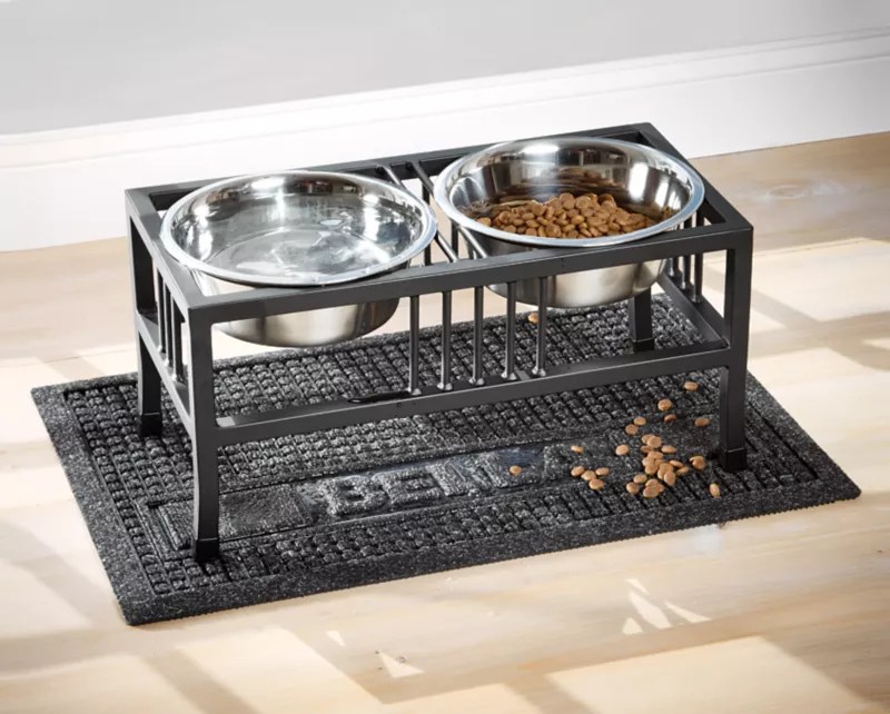 Dry Dog Food Versus Canned Dog Food Orvis