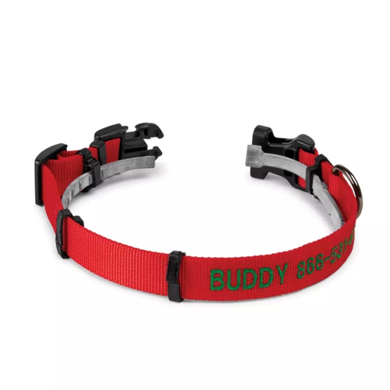 What Is A Buckle Collar For Dogs