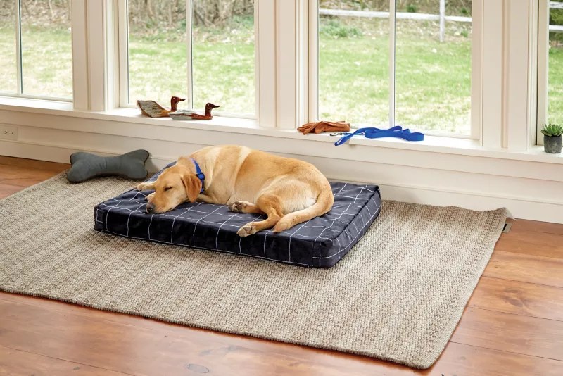 ToughChew® Memory Foam Platform Dog Bed Orvis
