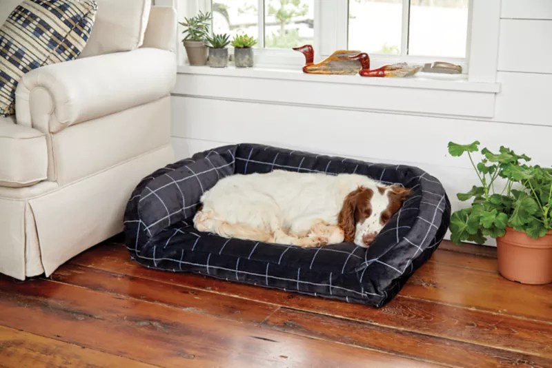 Orvis Memory Foam Bolster Dog Bed/Large Dogs 6090 Lbs. free shipping