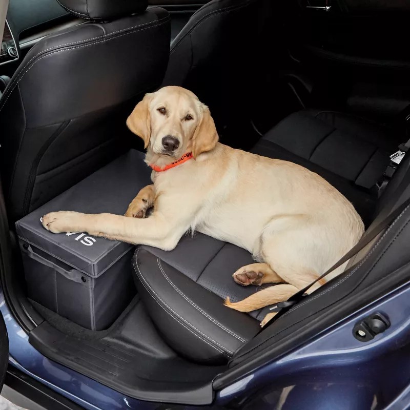 BACKSEAT EXTENDER FOR DOGS WITH STORAGE Truck Dash Cam