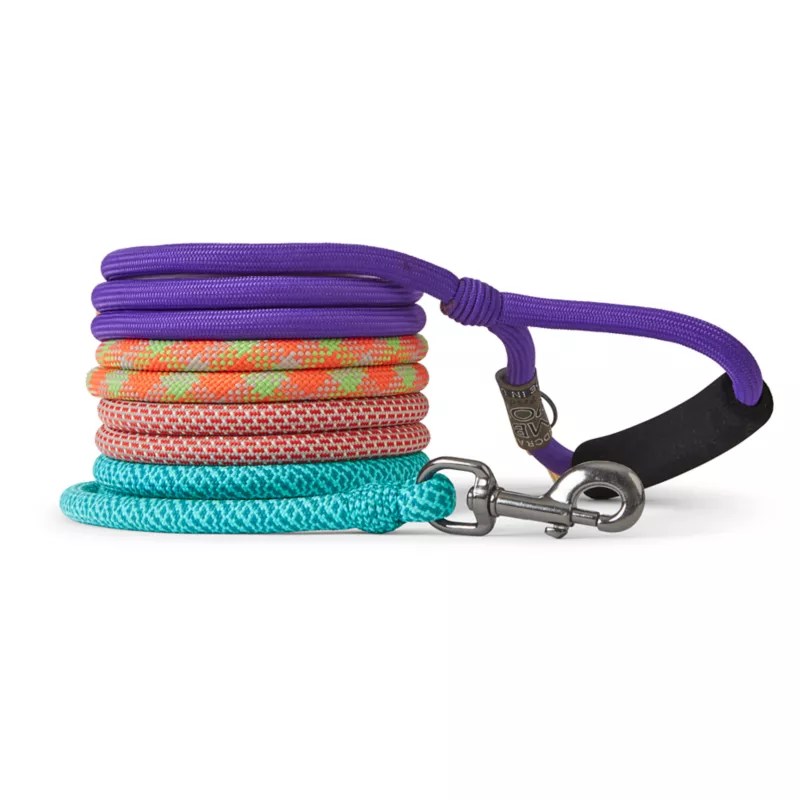 Braided Dog Collar and Climbing Rope Leash Orvis