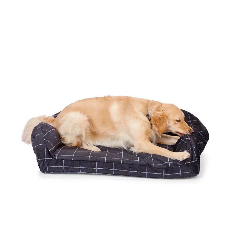 Dog Ate Foam Bedding