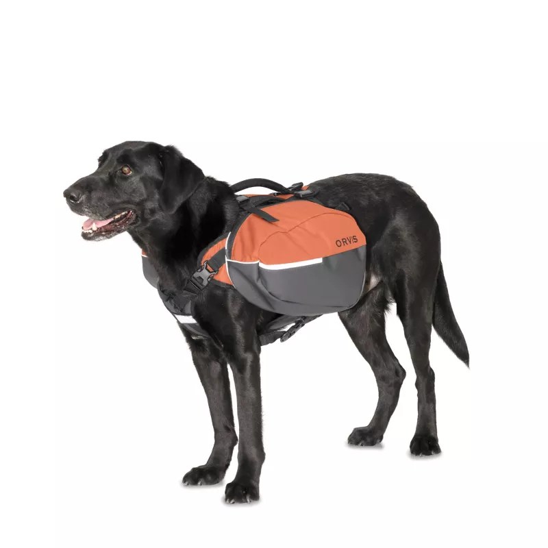 Best Dog Saddle Bags