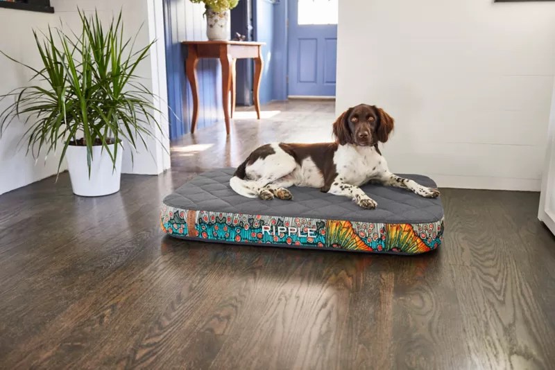 Orvis RecoveryZone® Lounger Dog Bed Orvis