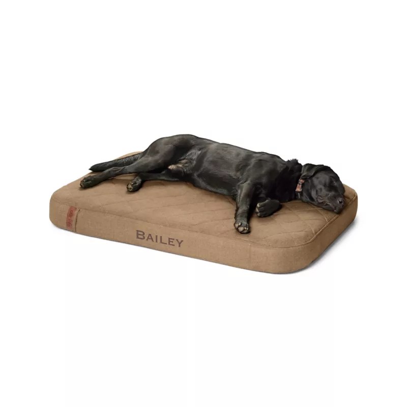 Orvis RecoveryZone® Lounger Dog Bed Orvis