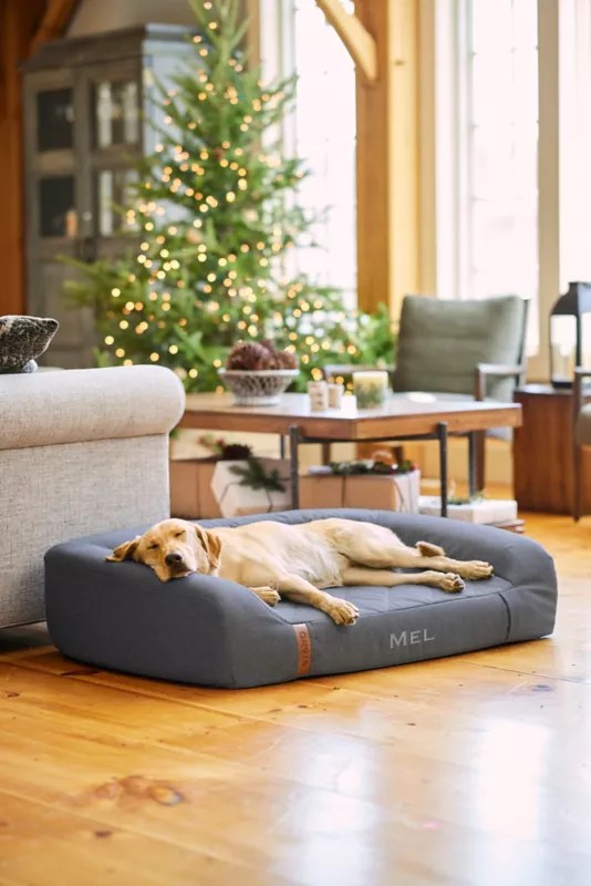 Orvis RecoveryZone® Couch Dog Bed Orvis