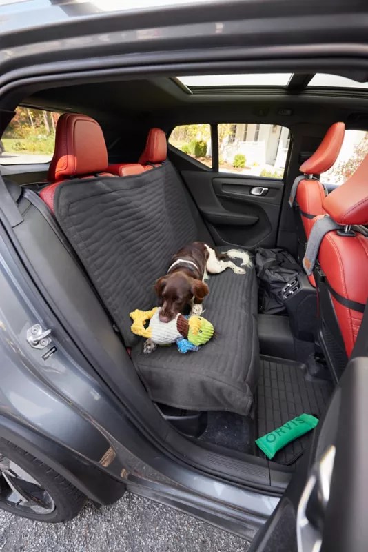 A Review Best Back Bench Seat Covers for Dogs in Trucks TigerTough