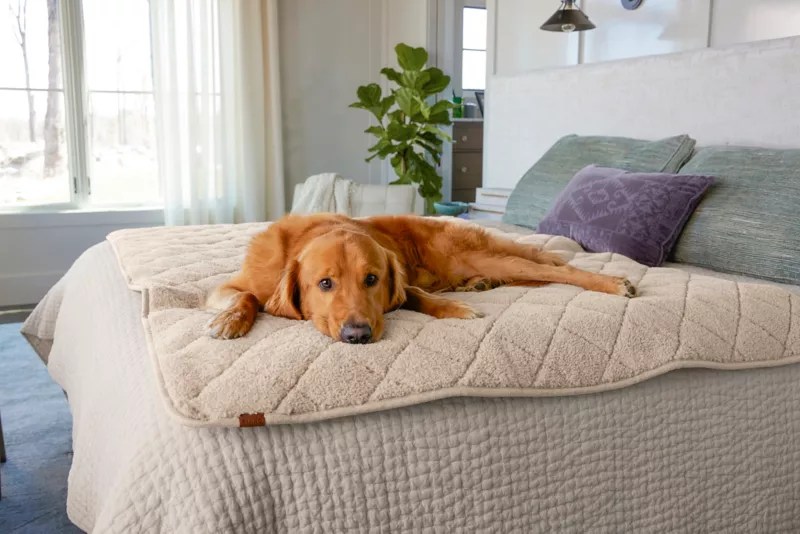 Sherpa Fleece Dog Throw Blanket Orvis