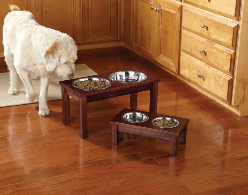 Should I Use An Elevated Dog Feeder