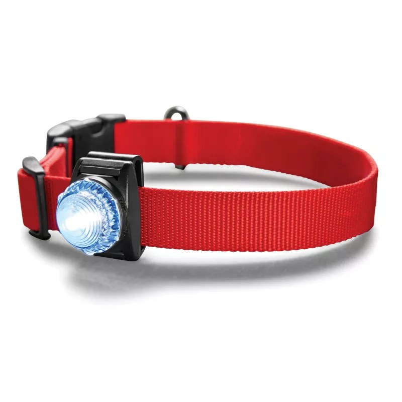 LED Safety Dog Collar Light Orvis