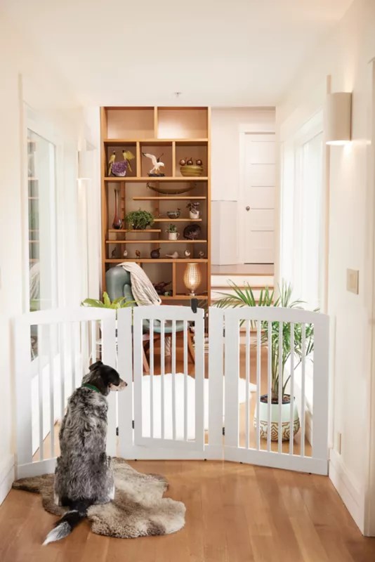 Freestanding ThreePanel Dog Gate With Door Orvis