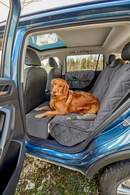 Share 193+ imagen dog seat extender In.thptnganamst.edu.vn