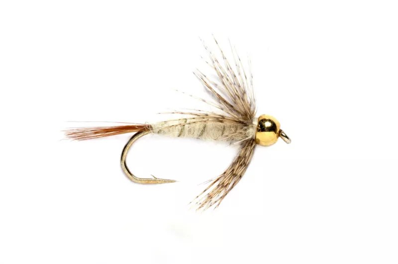 Youghiogheny River PA Fly Fishing Reports & Conditions