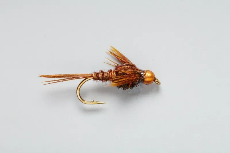 Deerfield River MA Fly Fishing Reports & Conditions