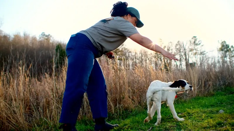 Video Basic Dog Training Vocabulary Orvis