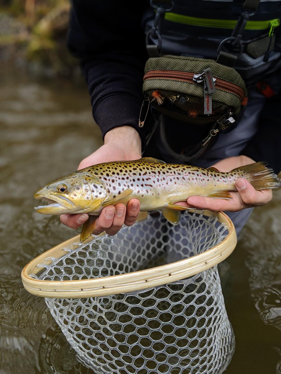 Fly Fishing the Catskill Mountains Half Day Outguided