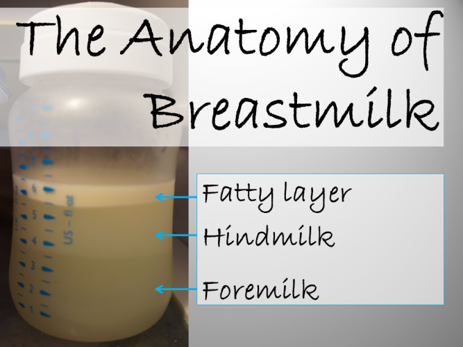 What's the difference between colostrum, foremilk and hind milk