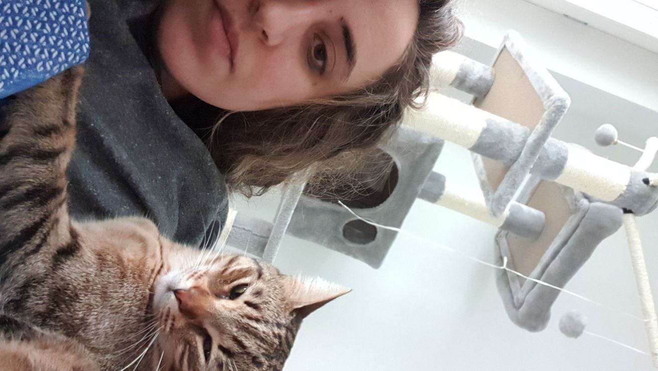 Top empfohlene Katze Haus Sitten in Charlottenburg Wilmersdorf