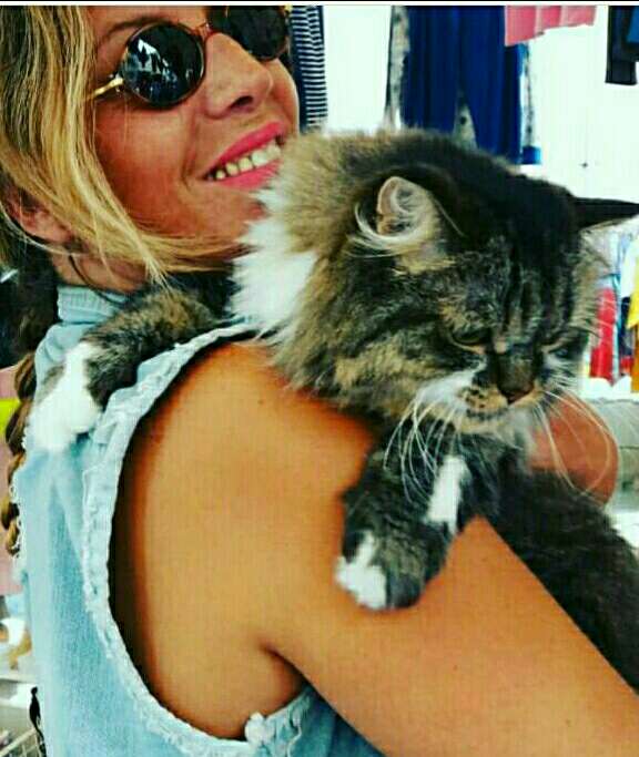 All Pets Grooming Naples Pet Groomers In Naples Fl Page 1 All pets