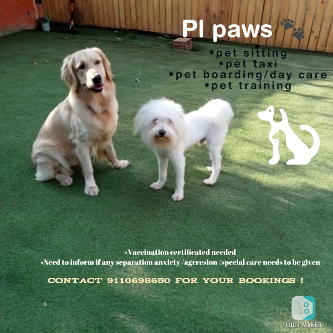 PetBacker Moment Post By Pl paws. Join me on PetBacker App!